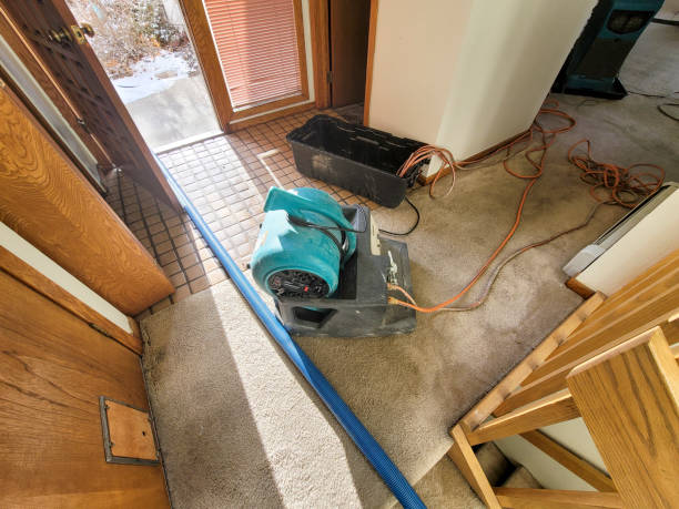Best Flood restoration services  in Seneca, SC