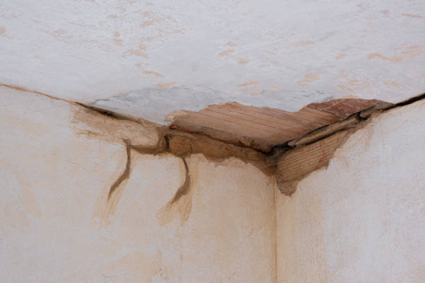 Best Basement water damage restoration  in Seneca, SC