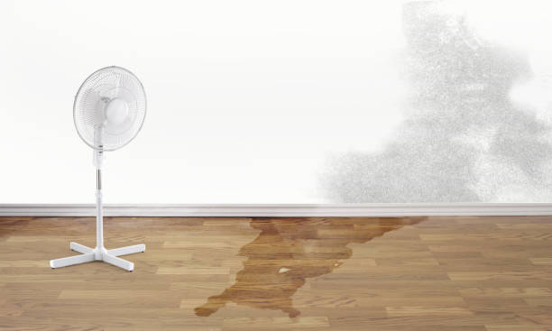 Best Water damage contractors near me  in Seneca, SC