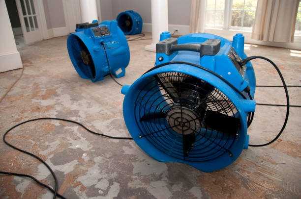  Seneca, SC Water damage restoration Pros