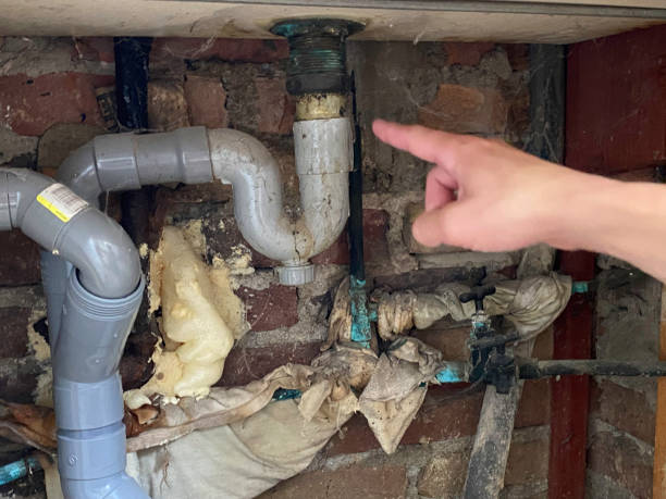 Best Carpet water damage restoration  in Seneca, SC